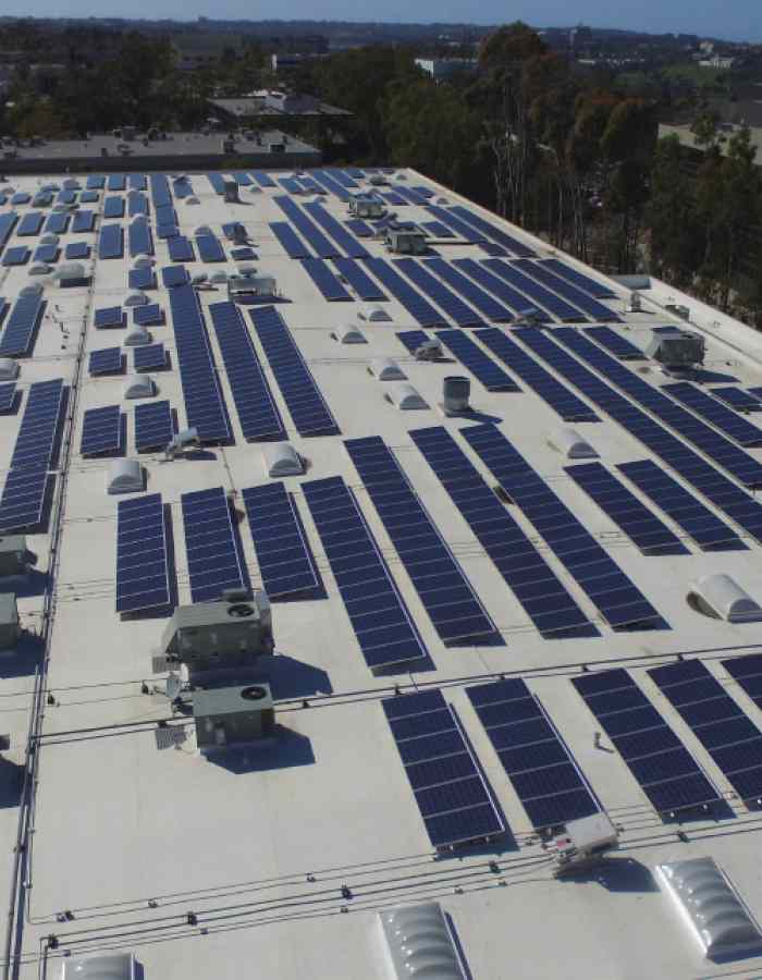 The Jacobs & Cushman San Diego Food Bank commercial solar project