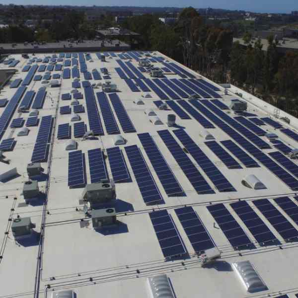 The Jacobs & Cushman San Diego Food Bank commercial solar project